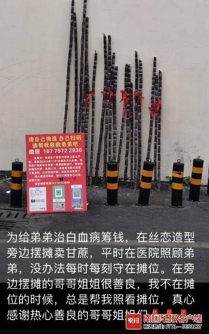 暨大女孩毕业后在南宁摆摊，不少人只付款不要甘蔗……