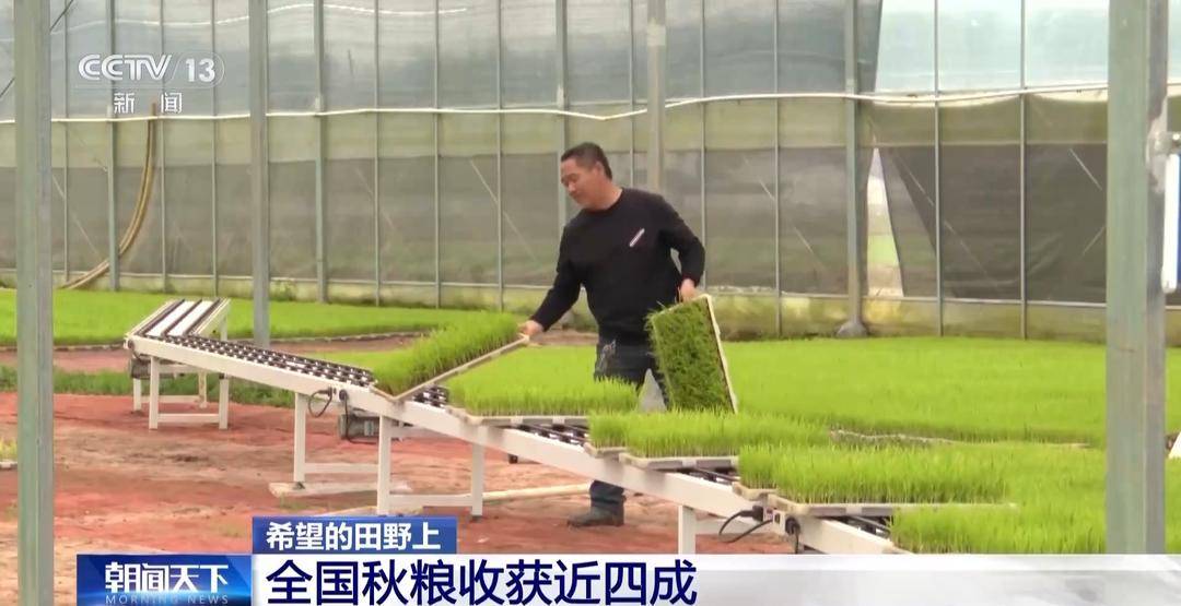 一大批农产品正走向你的餐桌！全国秋粮收获近四成