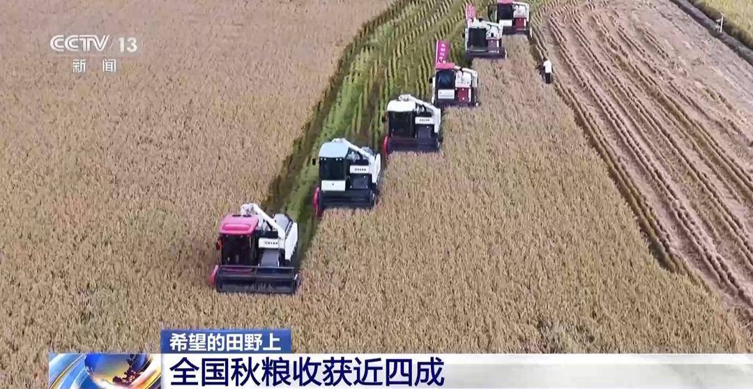 一大批农产品正走向你的餐桌！全国秋粮收获近四成