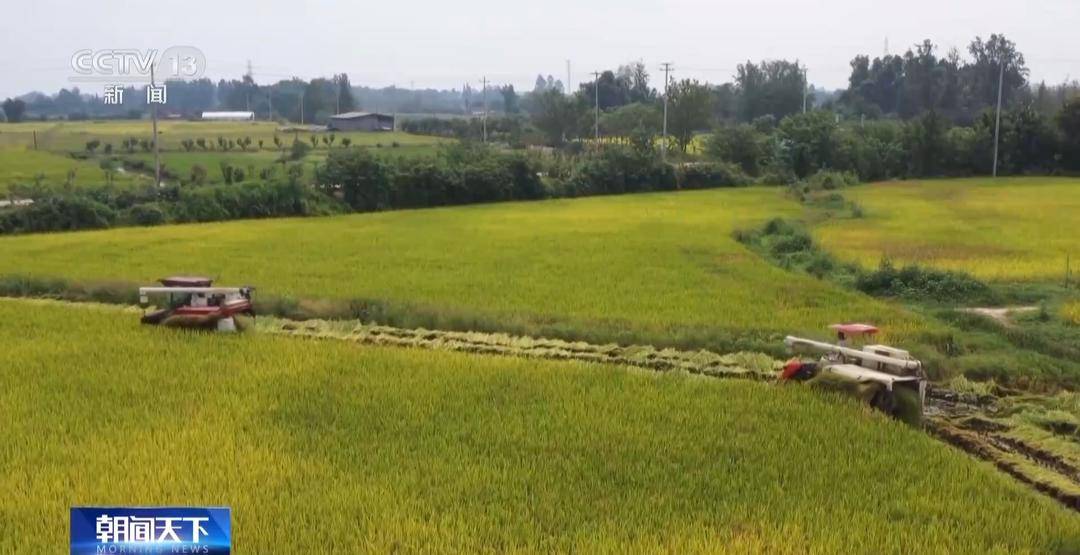 一大批农产品正走向你的餐桌！全国秋粮收获近四成