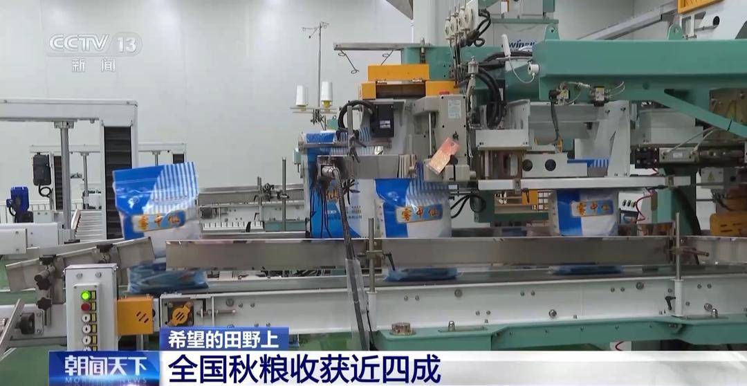 一大批农产品正走向你的餐桌！全国秋粮收获近四成