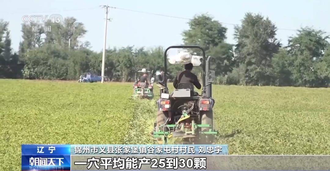一大批农产品正走向你的餐桌！全国秋粮收获近四成