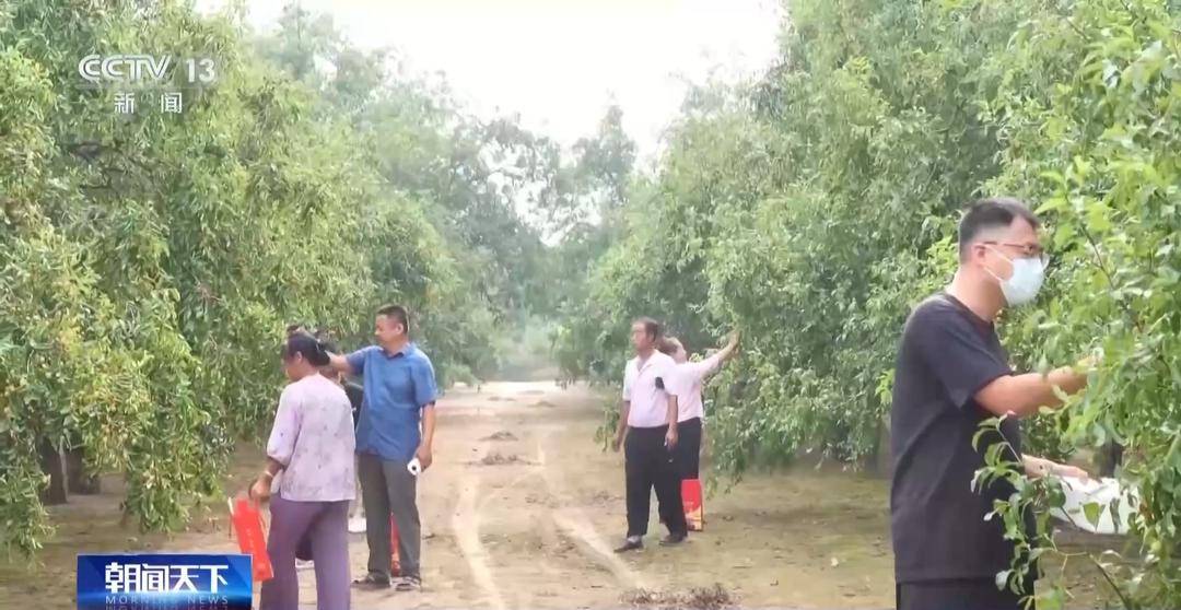 一大批农产品正走向你的餐桌！全国秋粮收获近四成