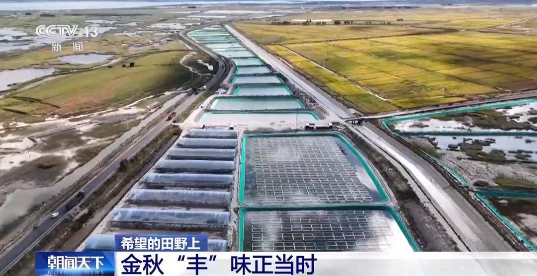 一大批农产品正走向你的餐桌！全国秋粮收获近四成