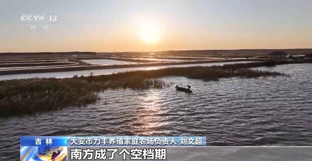 一大批农产品正走向你的餐桌！全国秋粮收获近四成