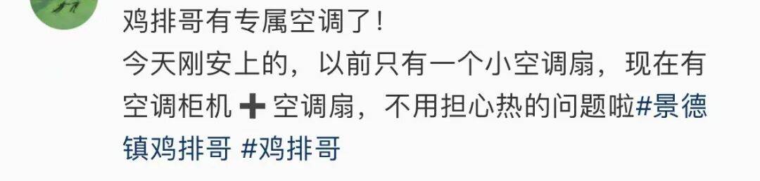 鸡排哥致歉