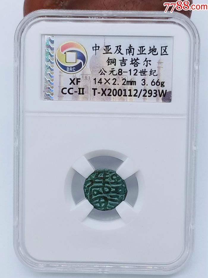 中亚虚拟币(中亚币投不正规)